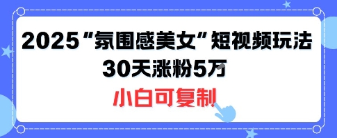 不露脸也能火！2025“氛围感美女”短视频玩法，30天涨粉5W小白可复制-听风云网创