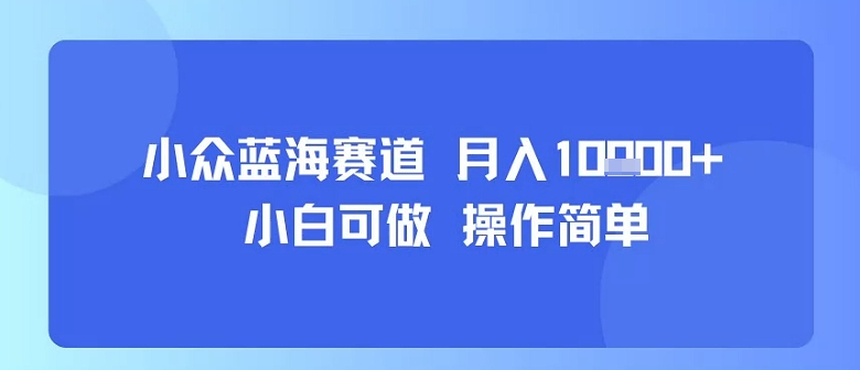 小众蓝海赛道，小白可做，操作简单，每天30分钟，月入1W+-听风云网创