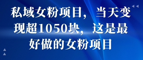 私域女粉项目，当天变现超1k，这是最好做的女粉项目，可放大操作-听风云网创