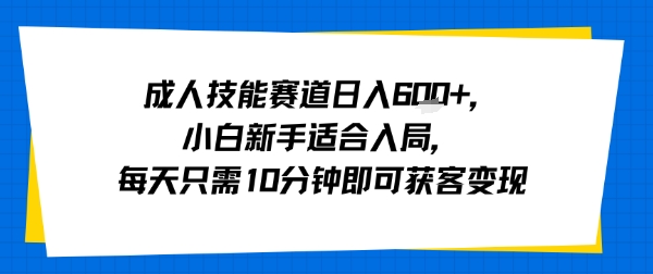 成人技能赛道日入多张，小白新手适合入局，每天只需10分钟即可获客变现-听风云网创