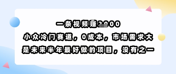 一条视频挣1k,小众冷门赛道,0成本,市场需求大,是未来半年最好做的项目,没有之一-听风云网创