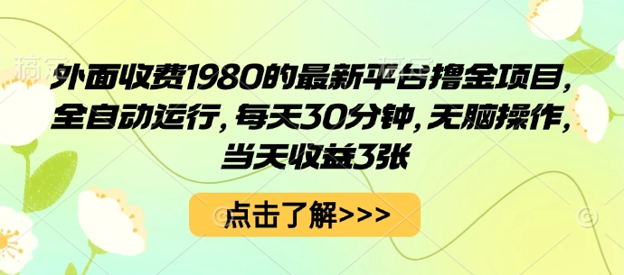 外面收费1980的最新平台撸金项目,全自动运行,每天30分钟,无脑操作,当天收益3张【揭秘】-听风云网创