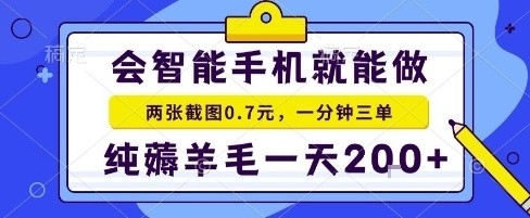 手机项目,二十秒一单,纯薅羊毛一天2张+做就有【揭秘】-听风云网创